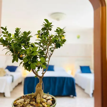 Casa Della Frutta Anacapri (Isola di Capri)